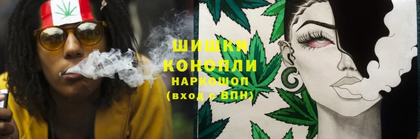 spice Пересвет
