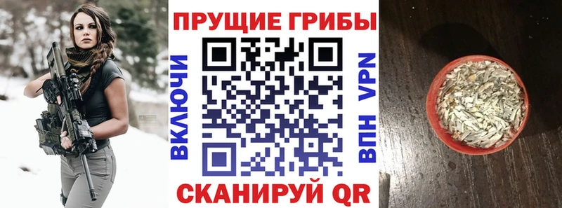 купить  сайты  Донецк  Галлюциногенные грибы Cubensis 